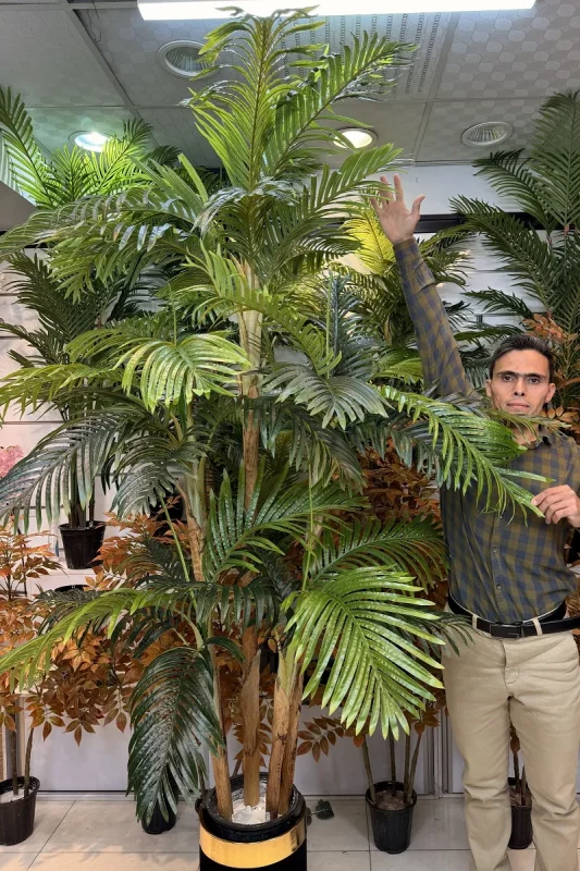 فروش درختچه مصنوعی نخل کنتیا 2.1 متری