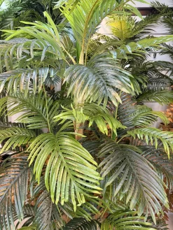 درختچه مصنوعی نخل کنتیا 2.1 متری ارزان