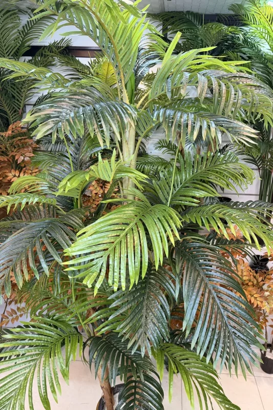 خرید درختچه مصنوعی نخل کنتیا 2.1 متری