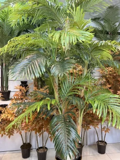 قیمت درختچه مصنوعی نخل کنتیا