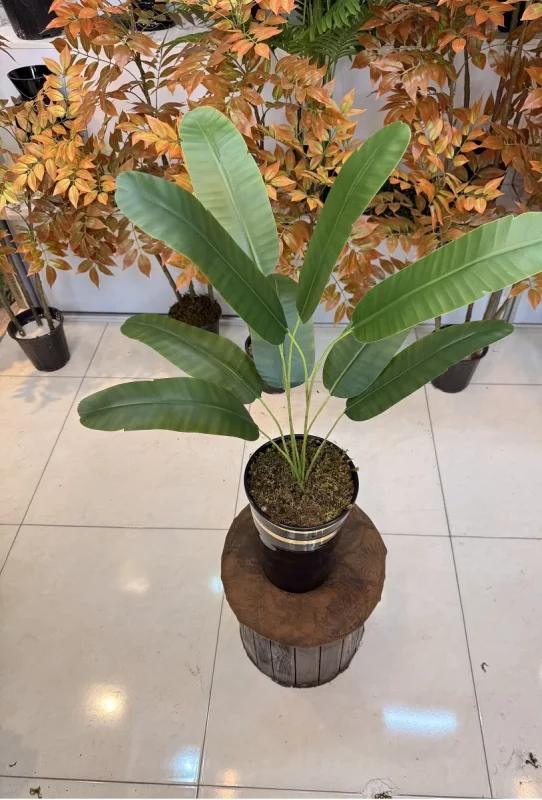 خرید بوته مصنوعی پرنده بهشتی 70 سانت