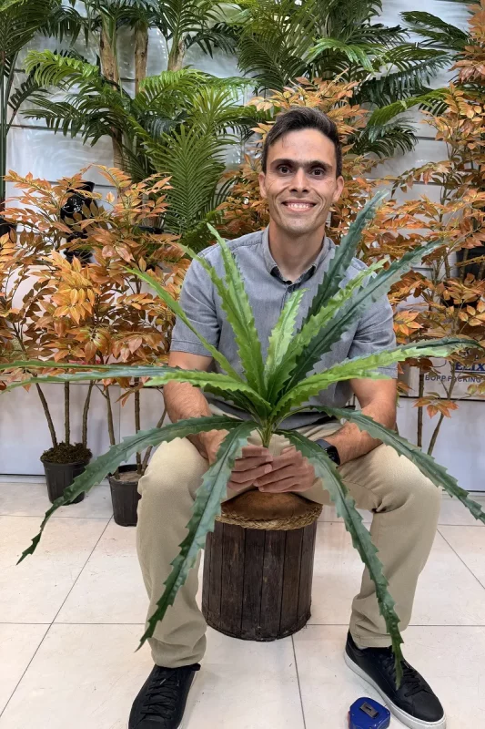 بوته مصنوعی سرخس ستاره‌ای