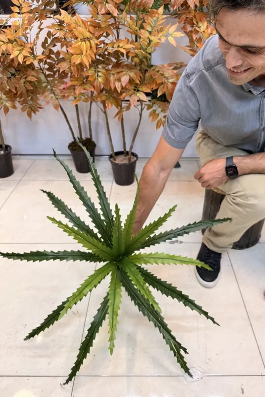 قیمت بوته مصنوعی سرخس ستاره‌ای