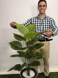 درختچه پتوس مصنوعی یک متری