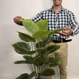 درختچه پتوس مصنوعی یک متری