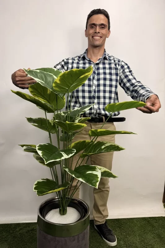 درختچه مصنوعی پتوس ابلق یک متری