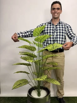 درختچه مصنوعی سینگونیوم یک متری