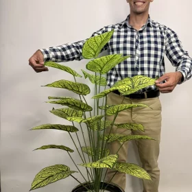 درختچه مصنوعی سینگونیوم یک متری