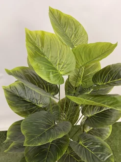 خرید درختچه پتوس مصنوعی یک متری