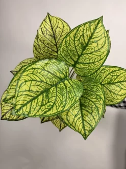 خرید درختچه مصنوعی سینگونیوم یک متری