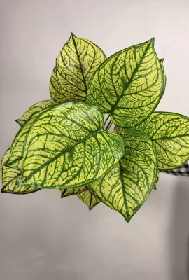 خرید درختچه مصنوعی سینگونیوم یک متری