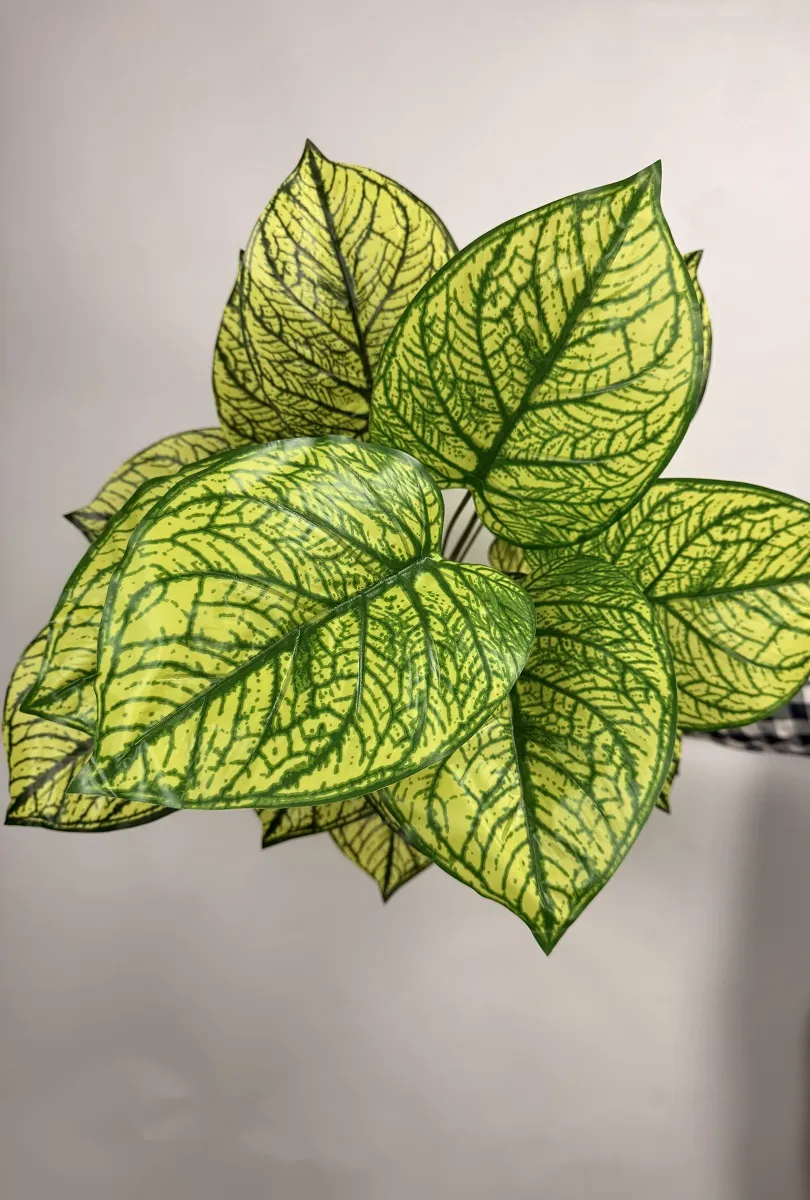 خرید درختچه مصنوعی سینگونیوم یک متری