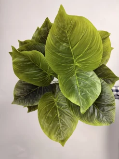 قیمت درختچه پتوس مصنوعی