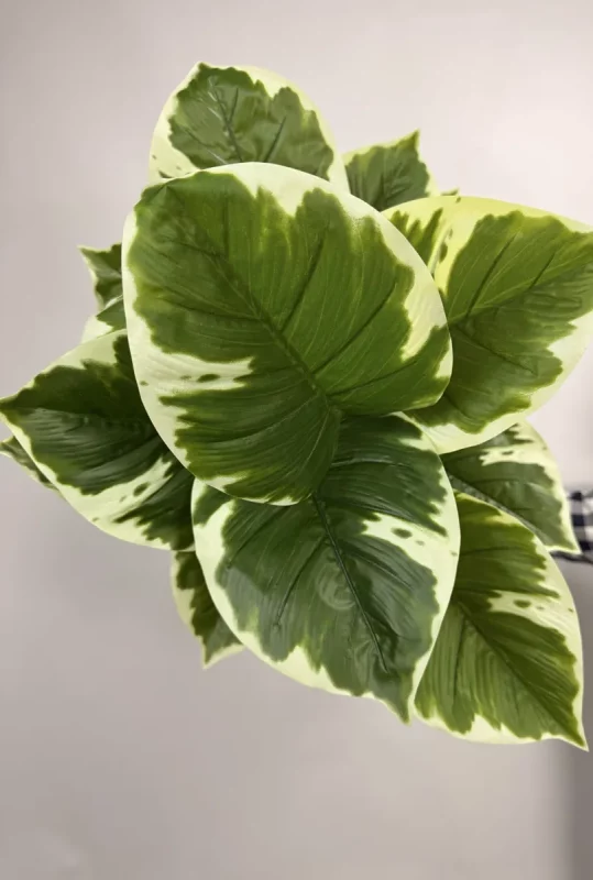 قیمت درختچه مصنوعی پتوس ابلق یک متری