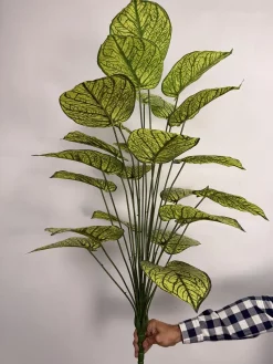 قیمت درختچه مصنوعی سینگونیوم یک متری