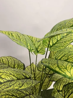 فروش درختچه مصنوعی سینگونیوم یک متری