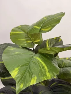 فروش درختچه مصنوعی پتوس یک متری