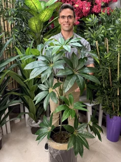 درختچه مصنوعی پاچیرا 1.2 متری