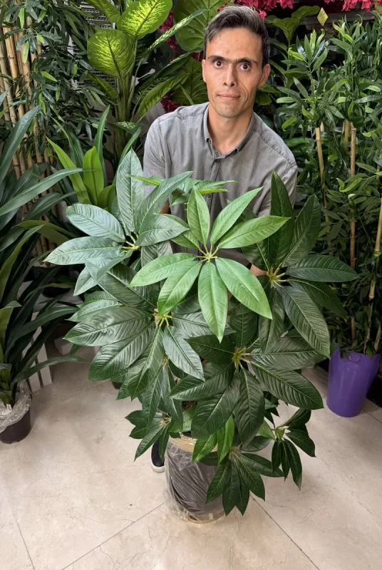 فروش درختچه مصنوعی پاچیرا 1.2 متری