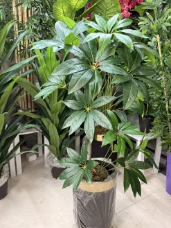 درختچه مصنوعی پاچیرا ارزان