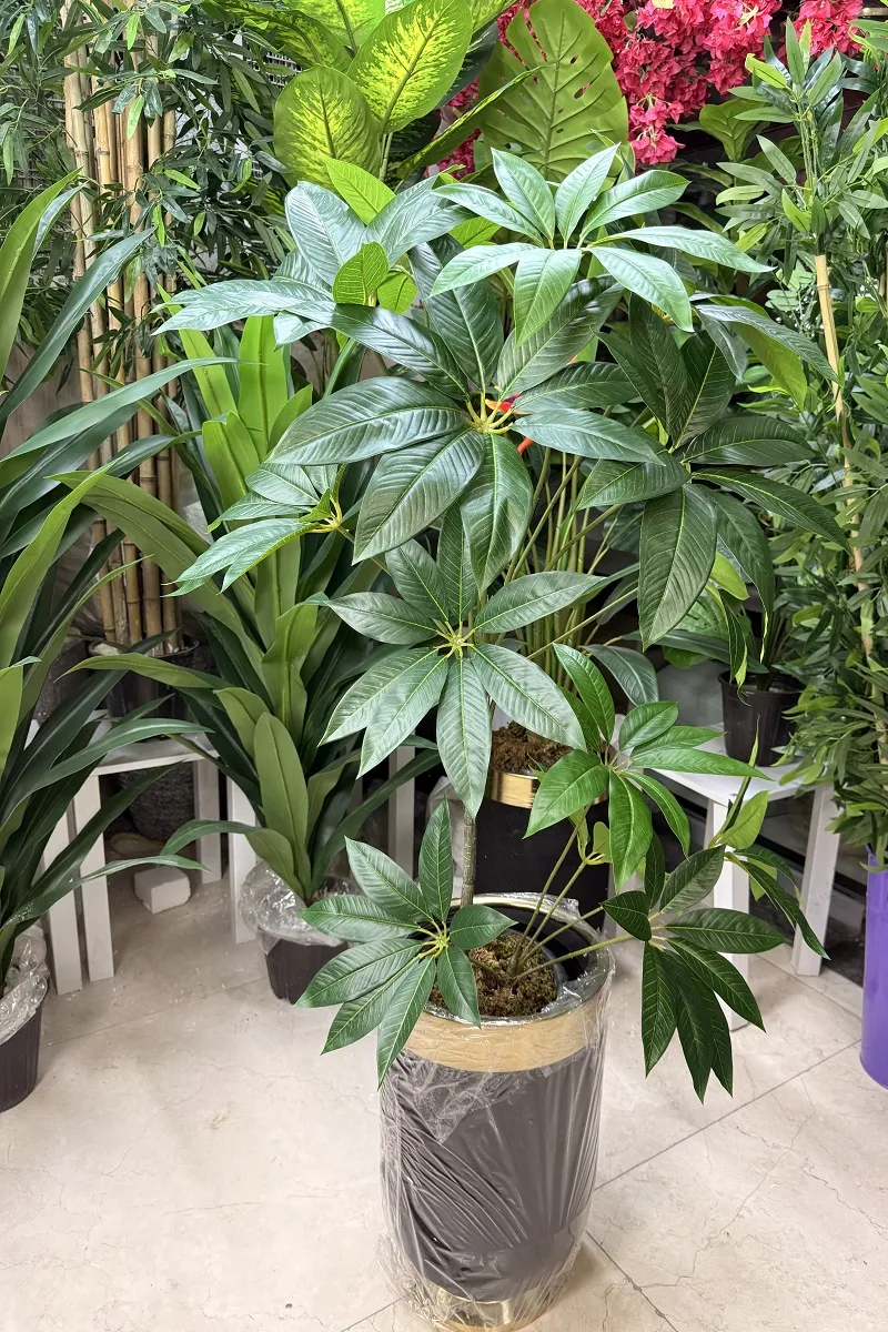 درختچه مصنوعی پاچیرا ارزان