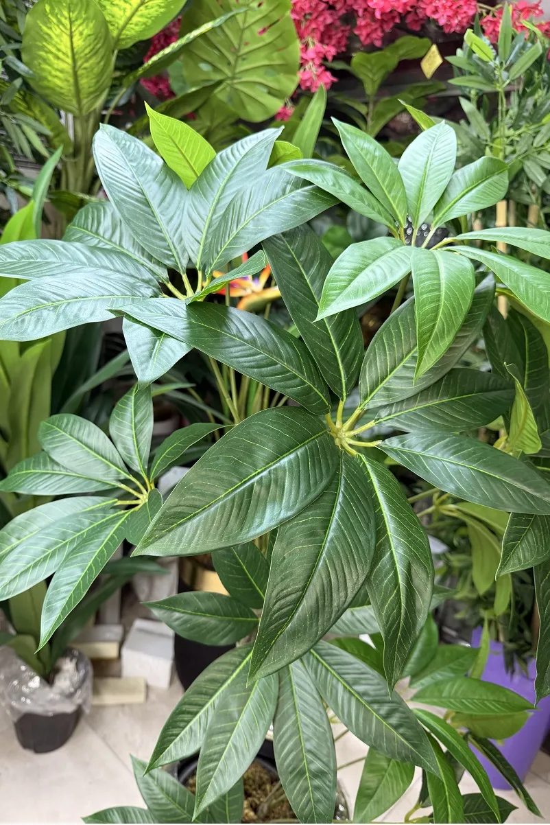 قیمت درختچه مصنوعی پاچیرا 1.2 متری