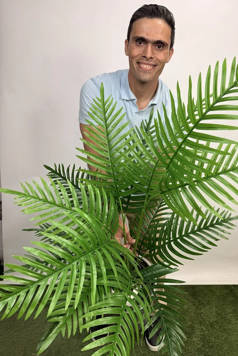 خرید درختچه مصنوعی نخل شامادورا