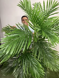 خرید درختچه نخل کنتیا مصنوعی