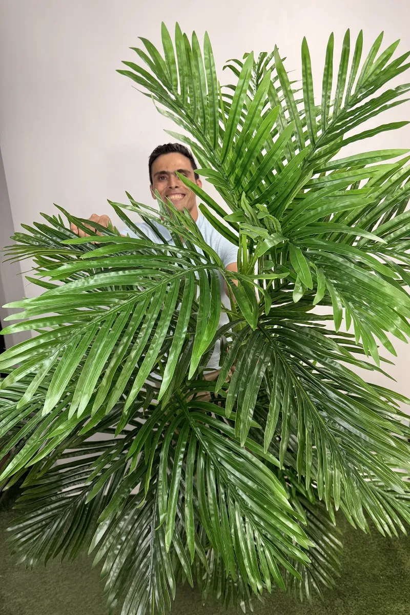 خرید درختچه نخل کنتیا مصنوعی