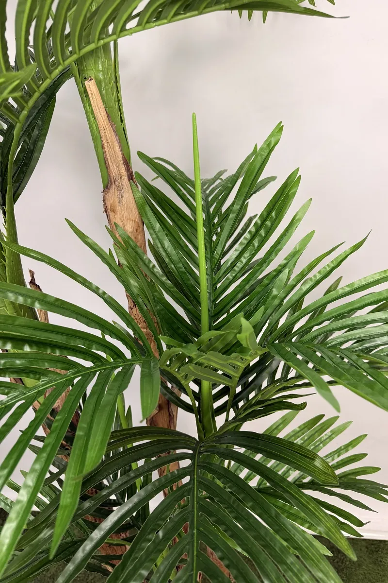 فروش درختچه نخل کنتیا مصنوعی 2.2 متری