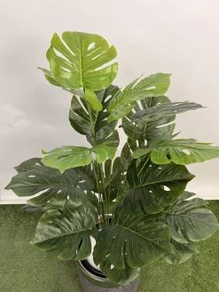 خرید درختچه مصنوعی برگ انجیری یک متری