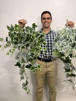 ریسه برگ مصنوعی پاپیتال ابلق یک متری