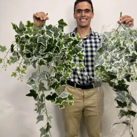 ریسه برگ مصنوعی پاپیتال ابلق یک متری