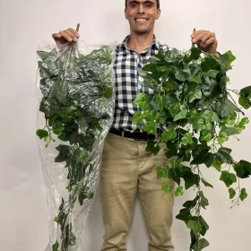 آویز برگ مصنوعی پاپیتال یک متری