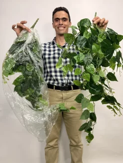 ریسه برگ مصنوعی پتوس یک متری