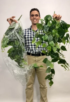 ریسه برگ مصنوعی پتوس یک متری