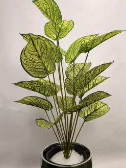 قیمت بوته مصنوعی سینگونیوم یک متری