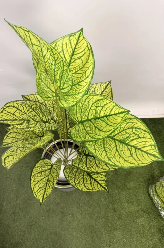 خرید بوته مصنوعی سینگونیوم یک متری