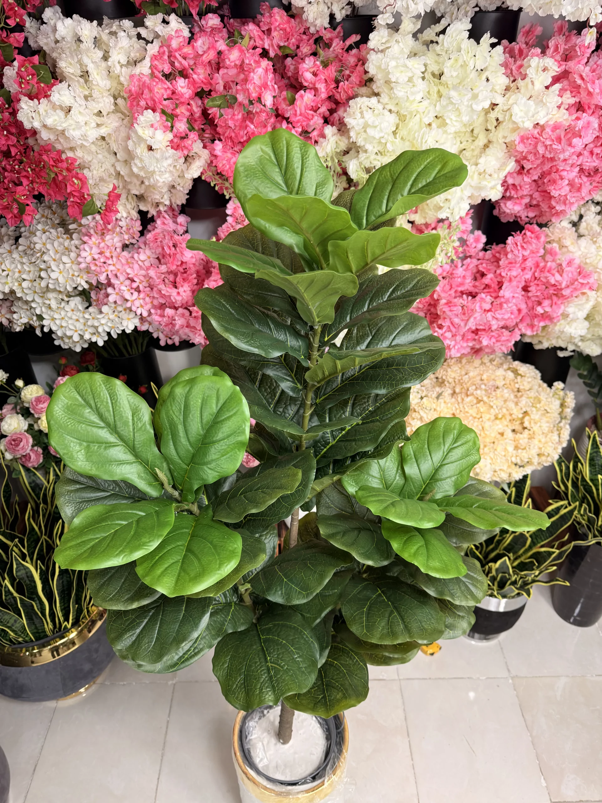 کوراسیون با درختچه لیراتا ۱۶۰ سانت