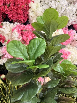 درختچه لیراتا مصنوعی ۱۷۰ سانت در دکوراسیون منزل