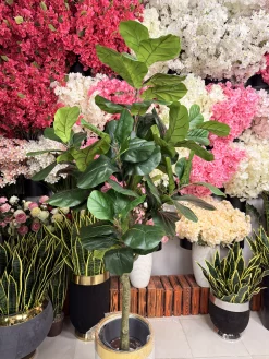 تنه محکم و باکیفیت درختچه فیکوس لیراتا مصنوعی