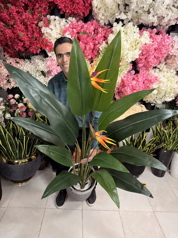 گل نارنجی و بنفش درختچه استرلیتزیا مصنوعی، معروف به پرنده بهشتی، با جزئیات بالا