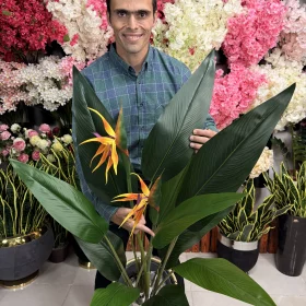 درختچه مصنوعی پرنده بهشتی قرار گرفته در یک گلدان شیک در گوشه پذیرایی به عنوان گیاه دکوری.