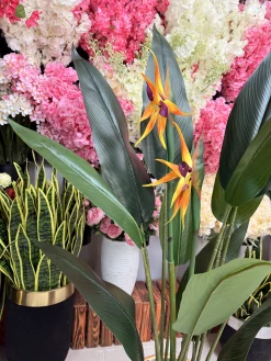 گل لمسی و باکیفیت درختچه استرلیتزیا مصنوعی با رنگ‌بندی طبیعی و طراحی شکیل.