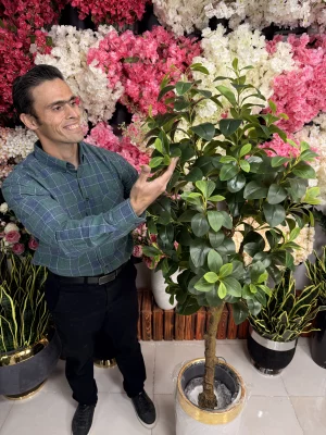 درختچه فیکوس جنگلی مصنوعی 150 سانتی