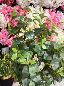 دکوراسیون با فیکوس جنگلی مصنوعی