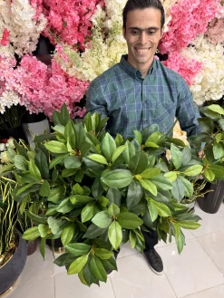 جزئیات برگ مصنوعی چرمی طرح بادومی