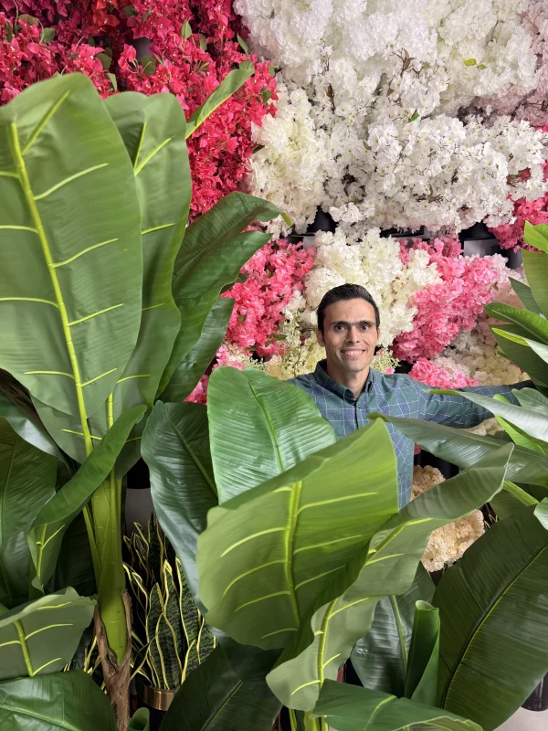خرید درختچه موز مصنوعی لوکس؛ طبیعت گرمسیری و جاودان در فضای شما
