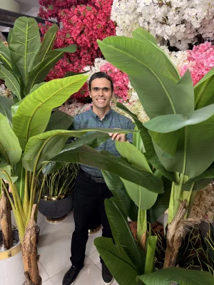 ایده‌های دکوراسیون با درختچه موز مصنوعی