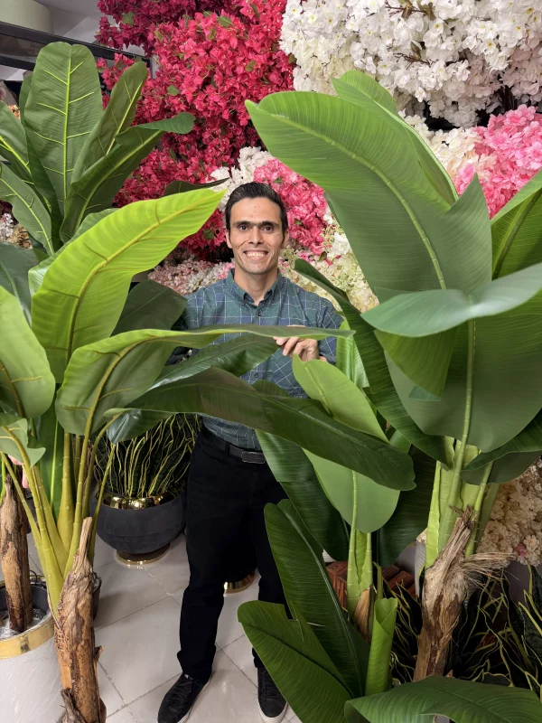 ایدههای دکوراسیون با درختچه موز مصنوعی